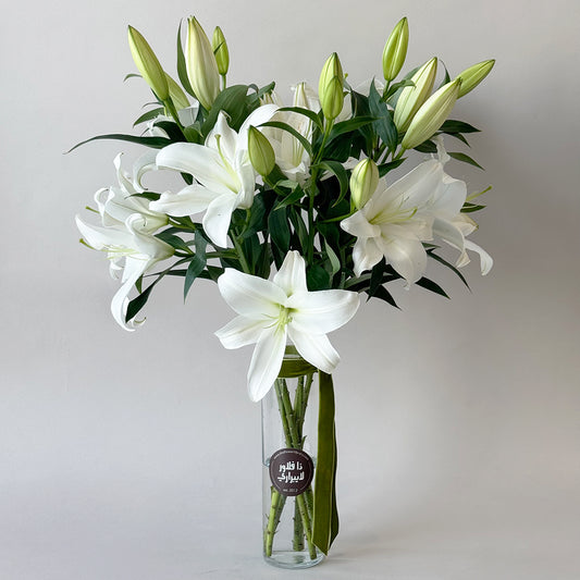 Everyday Lily - Casablanca