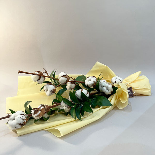Cotton Bouquet II